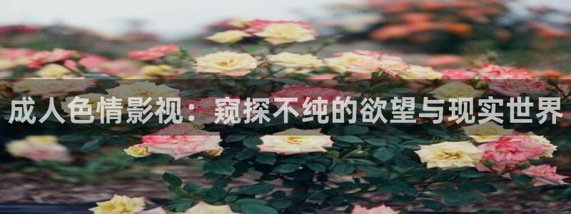 伊人影院在线观看