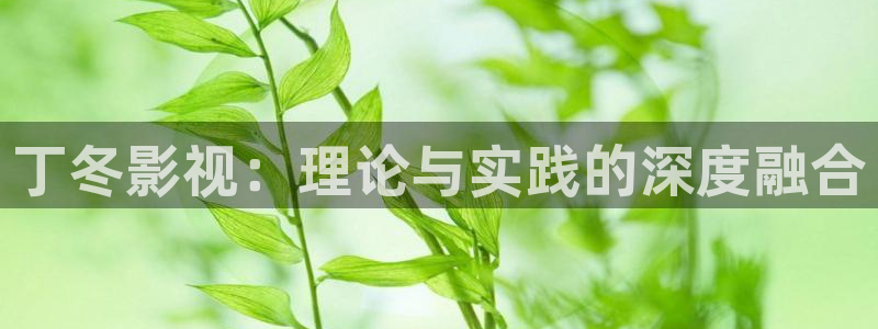 伊人影院精品在线观看