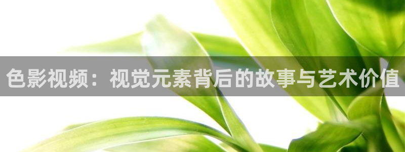 久操伊人免费视频