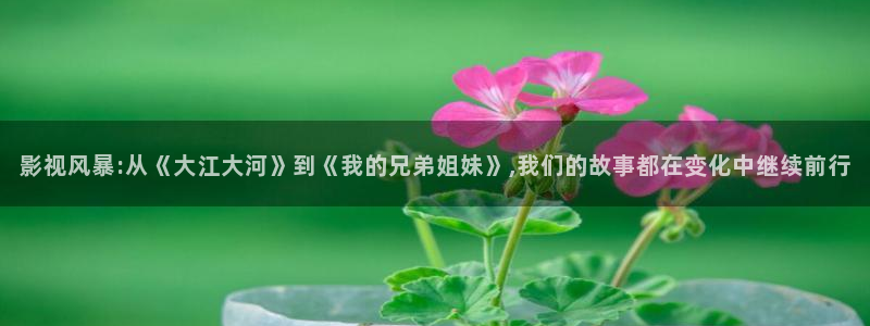 伊人影院久久